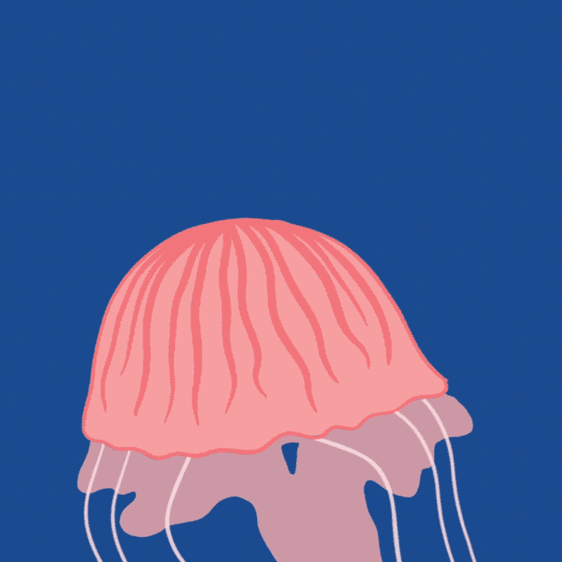 Cosmopola - Cris Wiegandt - Jellyfish
