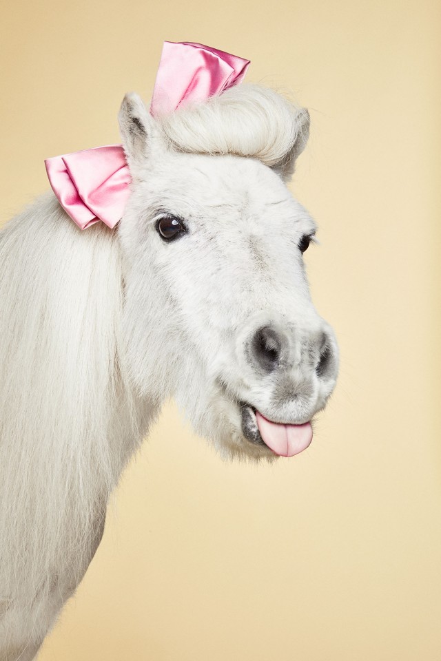 Cosmopola - Frauke Fischer - Barbara Magazin, Beauty with Pony