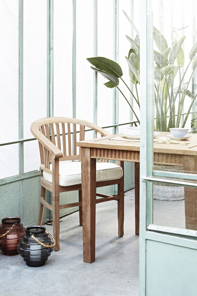 Cosmopola - Frederik Buettgen - Tropical Timber Butlers
