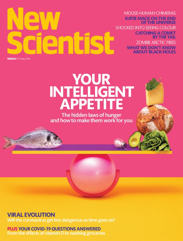 Cosmopola - Ilka & Franz - New Scientist Cover
