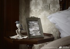 Cosmopola - Marc Thirouin - France Alzheimer