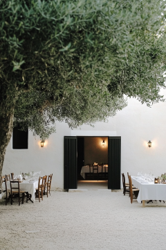 Cosmopola - Timeless Designers (Rose) - Ibizkus Wine Ibiza